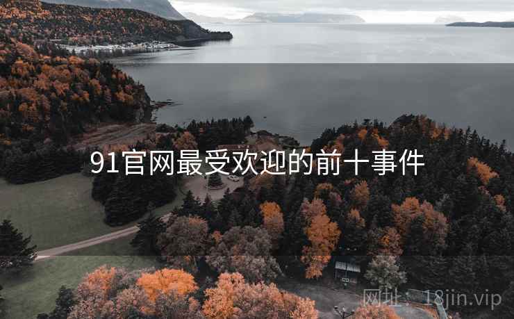 91官网最受欢迎的前十事件