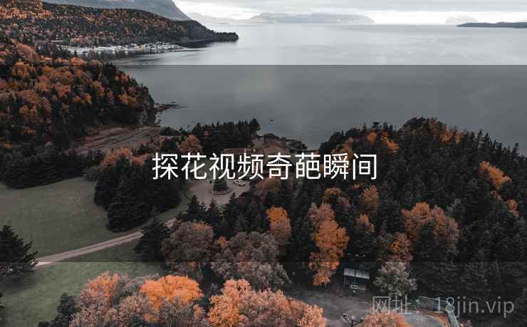 探花视频奇葩瞬间