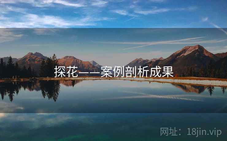 探花——案例剖析成果