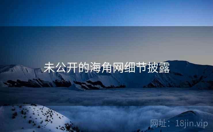 未公开的海角网细节披露