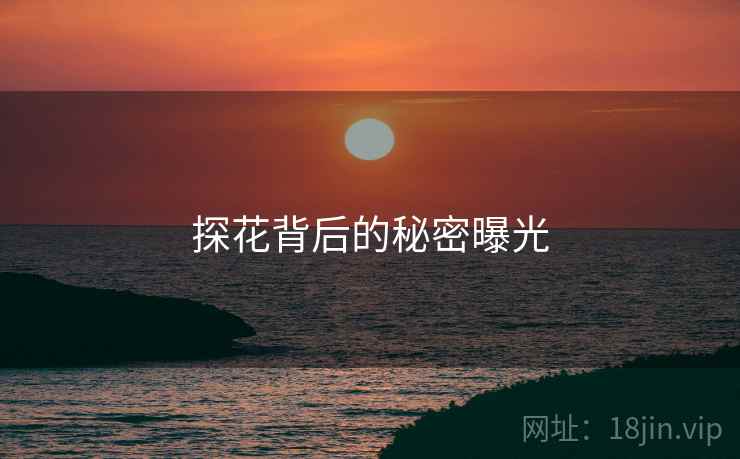 探花背后的秘密曝光