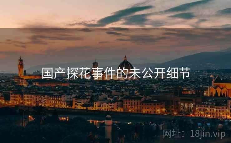 国产探花事件的未公开细节