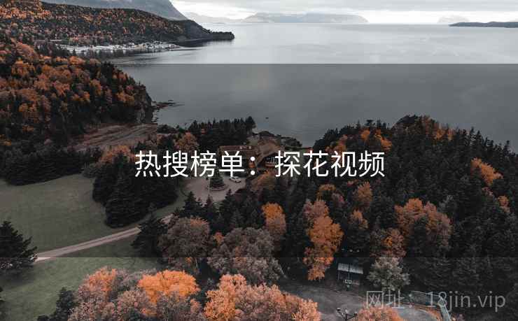热搜榜单：探花视频