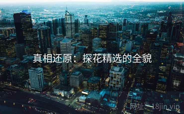 真相还原：探花精选的全貌