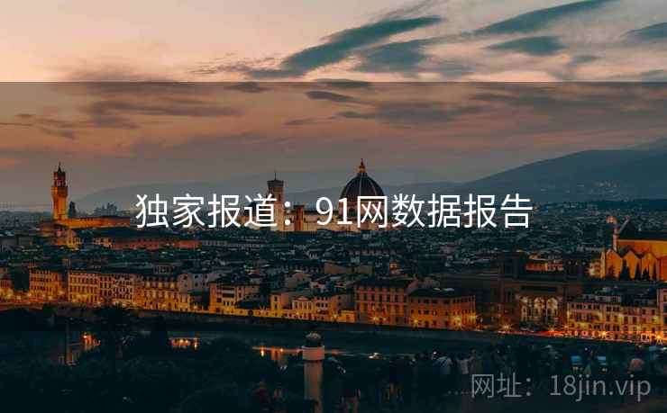 独家报道:91网数据报告