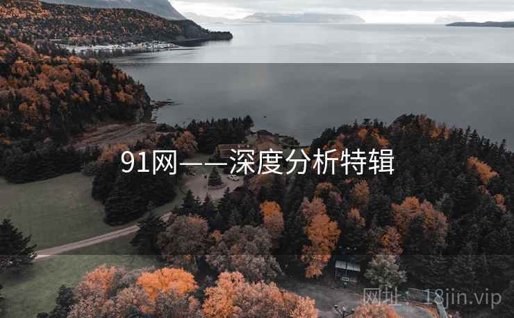 91网——深度分析特辑