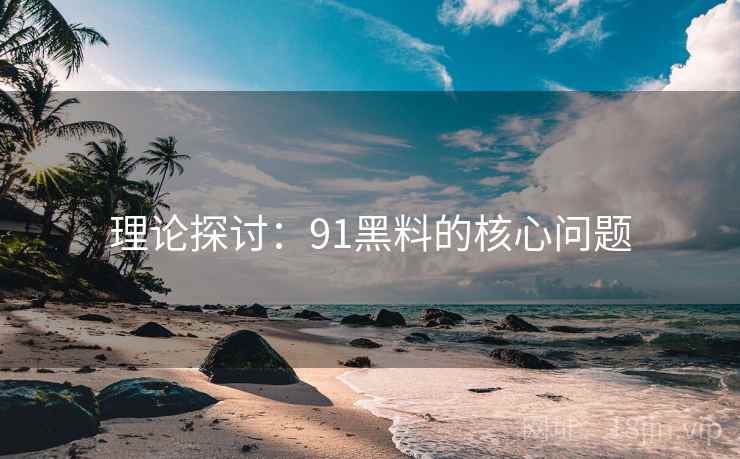 理论探讨:91黑料的核心问题