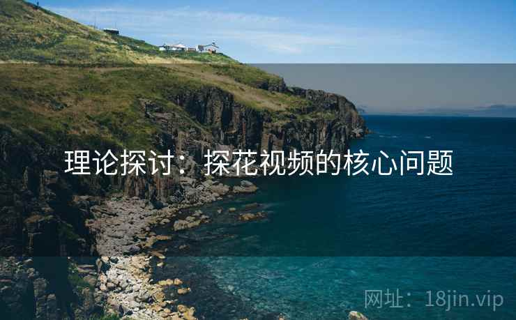 理论探讨：探花视频的核心问题