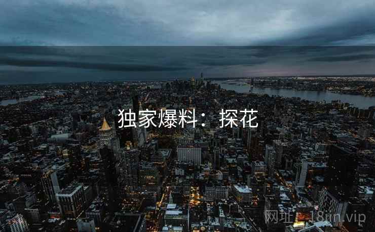 独家爆料:探花