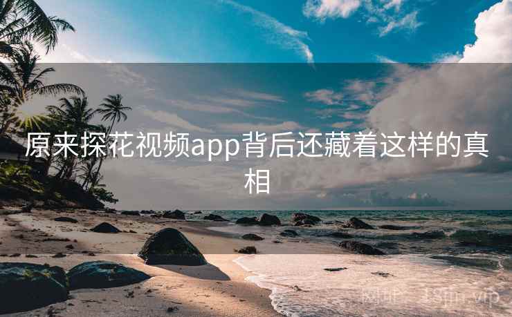原来探花视频app背后还藏着这样的真相