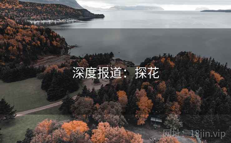 深度报道:探花