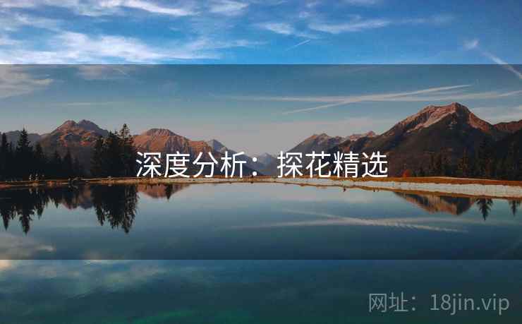 深度分析：探花精选