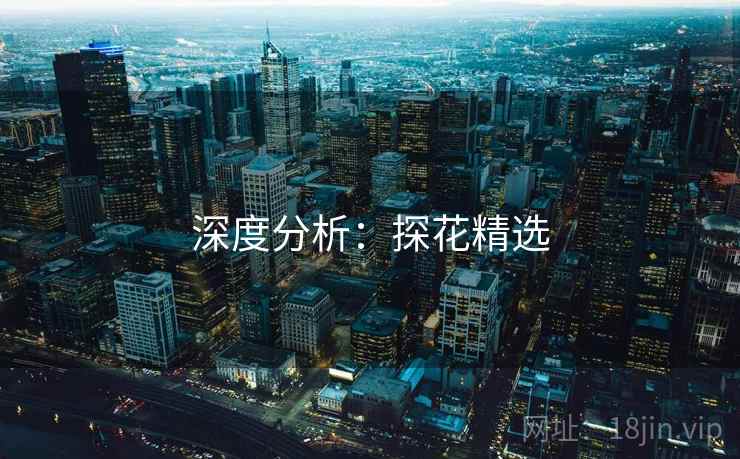 深度分析:探花精选