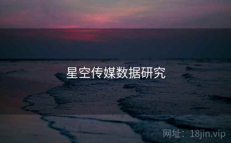 星空传媒数据研究