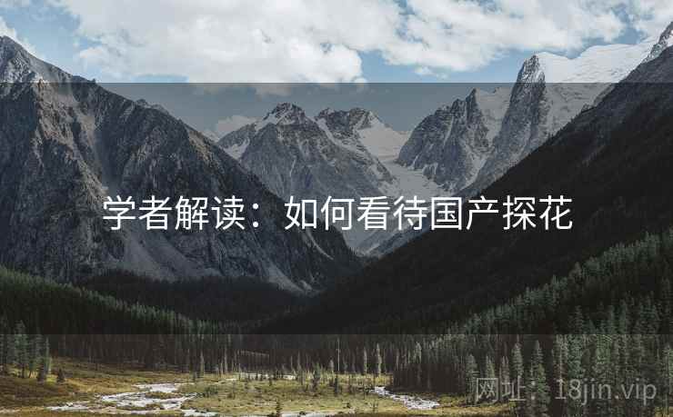 学者解读:如何看待国产探花