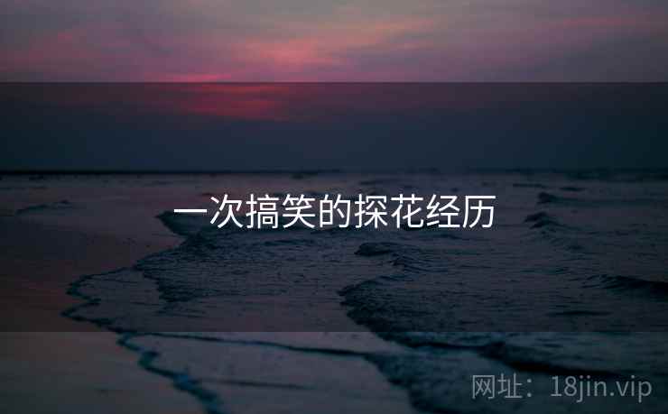 一次搞笑的探花经历