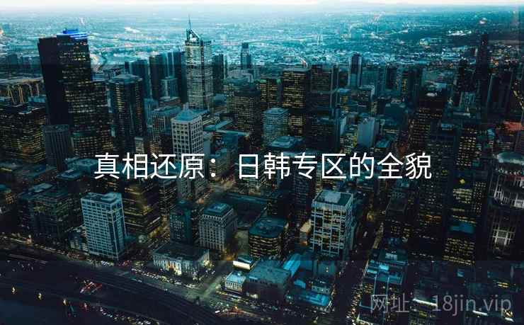 真相还原：日韩专区的全貌