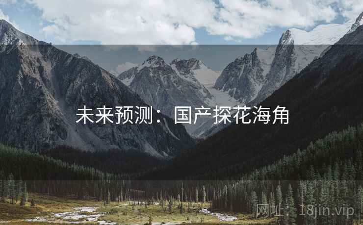 未来预测：国产探花海角
