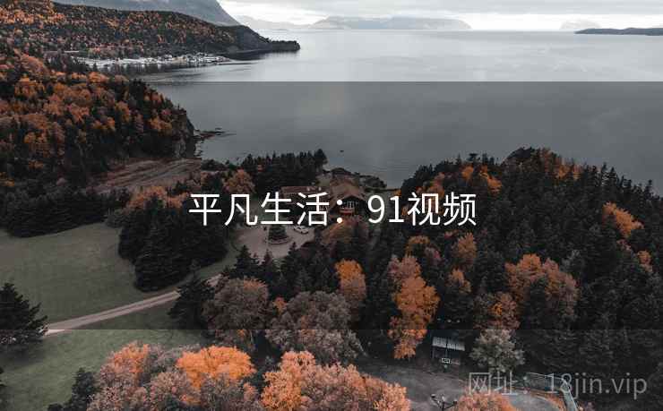 平凡生活：91视频