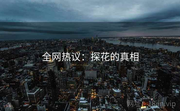 全网热议：探花的真相