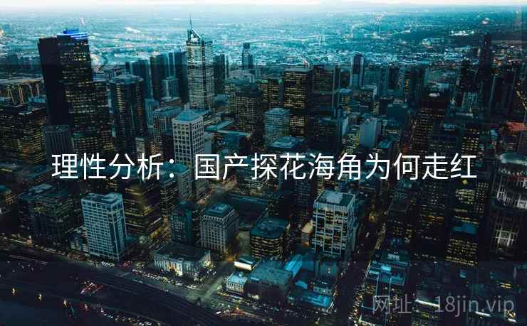 理性分析:国产探花海角为何走红