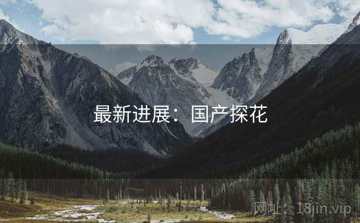 最新进展:国产探花